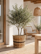 Multitone Round Planters | Set of Three (3) l Handcrafted Buri Planters