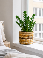 Multitone Round Planters | Set of Three (3) l Handcrafted Buri Planters