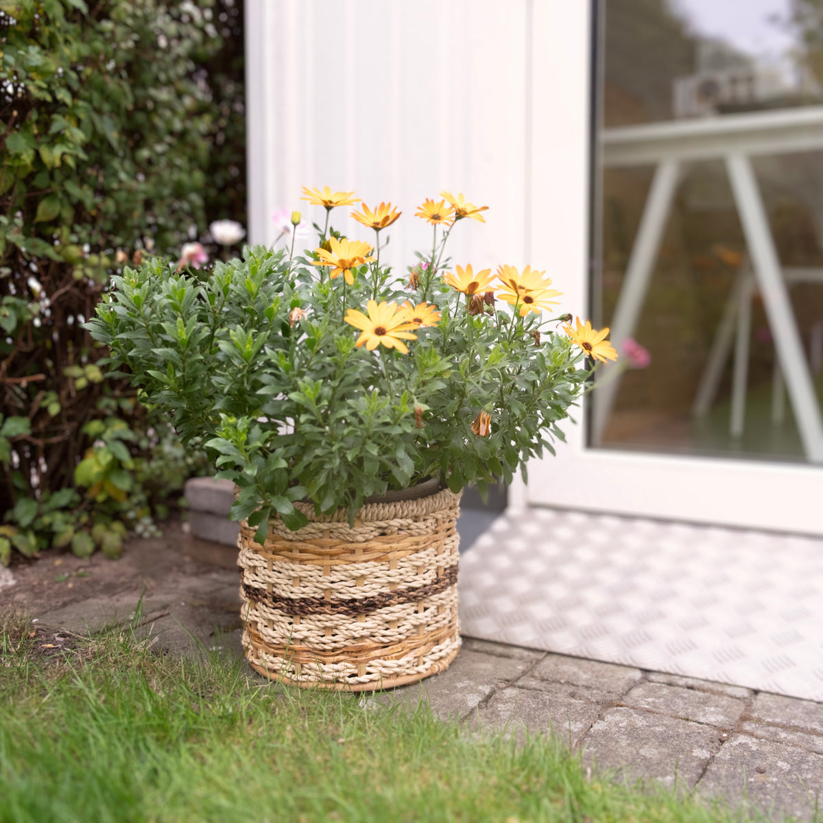 Multitone Round Planters l Handcrafted Buri Planters