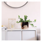 Three-Tone Pomeranian Planters | Set of Three (3) | Handmade Abaca Planters