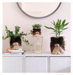 Three-Tone Pomeranian Planters | Handmade Abaca Planters
